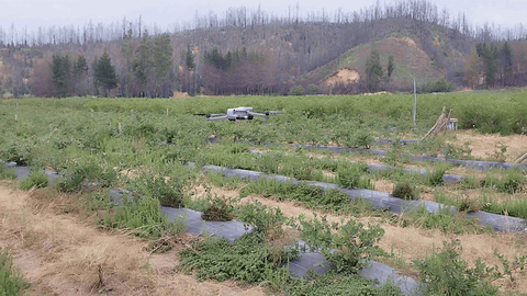 Campo agrícola con monitoreo